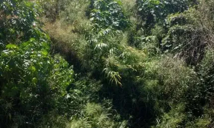 Terreno à venda no Jardim Casa Branca, Betim 
