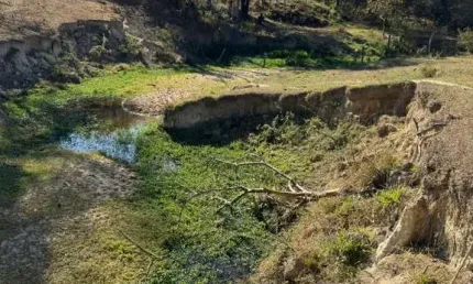 Fazenda à venda no Centro, Mateus Leme 