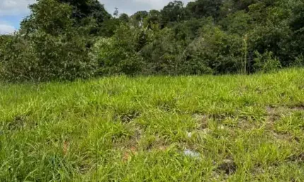Lote no bairro vila verde - betim - oportunidade única para você realizar o seu sonho da casa própria ou investir em uma área promissora! com excelente localização e infraestrutura completa