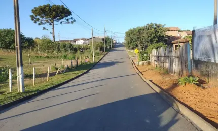 Terreno à venda na Avenida Zumbi dos Palmares, Jardim Apucarana, Almirante Tamandaré