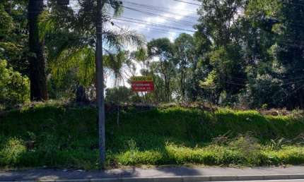 Terreno à venda na Rua Professor Alberto Piekarz, Colônia Antônio Prado, Almirante Tamandaré