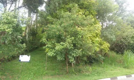 Terreno à venda, 4200 m² por R$ 1.890.000,00 - Cachoeira - Vinhedo/SP