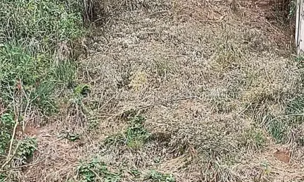 Terreno à venda na Rua Pirapora, Dom Bosco, Juiz de Fora