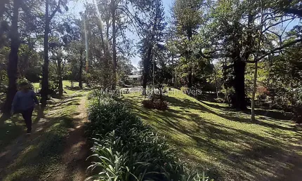 Terreno à venda na Rua Izabel Defêo Zanini, Vina Del Mar, Juiz de Fora