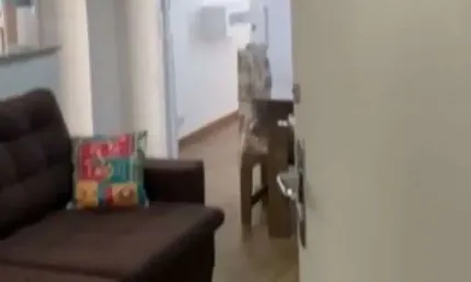 Apartamento com 2 quartos à venda na Rua das Palmeiras, 381, Vila Buarque, São Paulo