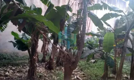 Terreno à venda na Rua Padre Feliciano Domingues, 318, Jardim Mariliza, São Paulo
