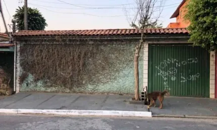 Terreno à venda na Rua Bernardo de Claraval, 235, Jardim Pouso Alegre, São Paulo