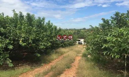Sítio à venda em Valinhos-SP, bairro Macuco: 1 quarto, 1 banheiro, 32.000m² de área! Aproveite esta oportunidade!