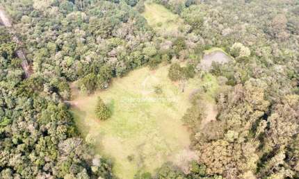 Chácara / sítio à venda na Estrada do Imigrante, 2300, Nossa Senhora das Graças, Caxias do Sul por R$ 850.000