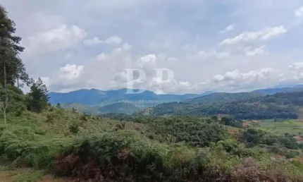 Terreno à venda na Avenida Zurich, Fazenda Suiça, Teresópolis