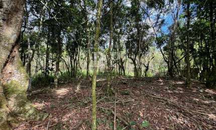Terreno à venda na Estrada Varginha, Varginha, Teresópolis
