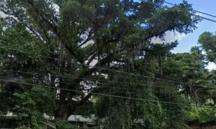 Casa com 6 quartos à venda na Avenida Guaíba, 2948, Vila Assunção, Porto Alegre