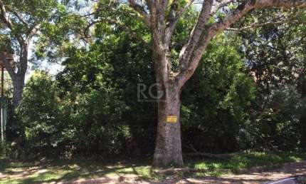 Terreno para Venda - 0m², 0 dormitórios, Teresópolis