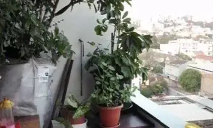 Apartamento para Venda - 100.6m², 2 dormitórios, Floresta
