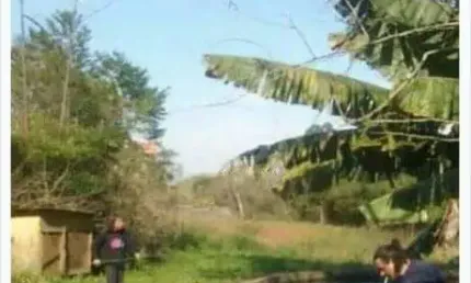 Terreno à venda na Estrada Jorge Pereira Nunes, 1882, Campo Novo, Porto Alegre