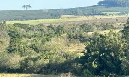 Chácara / sítio à venda na Do Bonilha, 2552, Centro, Tapes