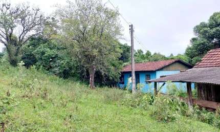 Chácara / sítio à venda na Linha Baixa Grande, 177, Centro, Riozinho