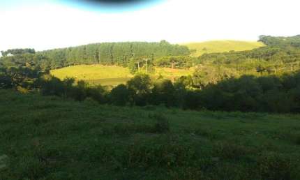 Chácara / sítio à venda na Municipal Fazenda Souza, 1085, Fazenda Souza, Caxias do Sul