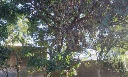 Terreno à venda na Rua Silveiro, 1501, Menino Deus, Porto Alegre