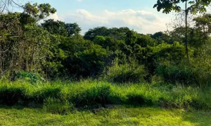 Terreno à venda no Aruã Eco Park, Mogi das Cruzes  por R$ 665.000