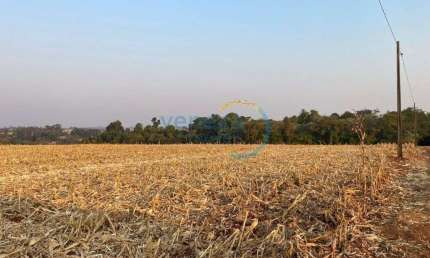 Chácaras_Prop rurais à venda, 75725.73 m2 por R$5500000.00  - Rural - Londrina/PR
