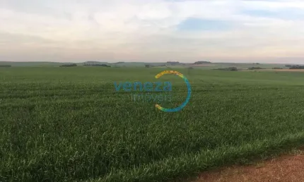 Chácaras_Prop rurais com 1 quarto  à venda, 302500.00 m2 por R$4500000.00  - Nova Amoreira - Marilandia Do Sul/PR