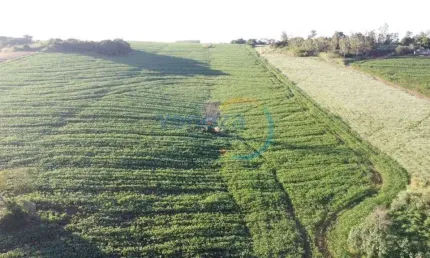 Chácaras_Prop rurais com 1 quarto  à venda, 121000.00 m2 por R$3500000.00  - Zona Rural - Ibipora/PR