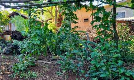 Chácaras_Prop rurais com 2 quartos  à venda, 80.00 m2 por R$435000.00  - Centro - Sao Pedro Do Ivai/PR