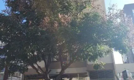 Apartamento com 2 quartos  à venda, 70.00 m2 por R$249000.00  - Centro - Londrina/PR
