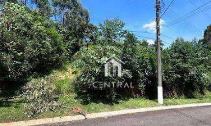 Terreno à venda, 1151 m² por R$ 750.000,01 - Roseira - Mairiporã/SP