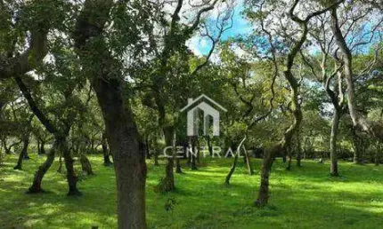 Venda Terreno 7.000,00 m² no Alto da Colina Sorocaba  Localização Privilegiada