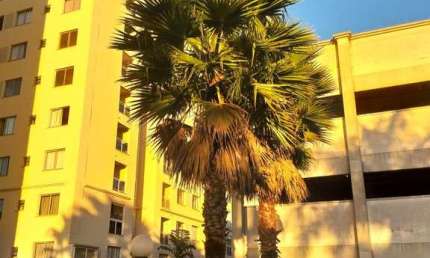 Apartamento para Venda em Curitiba, Bairro Alto, 2 dormitórios, 1 suíte, 1 banheiro, 2 vagas