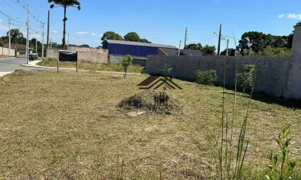 Terreno à venda, 450 m² por R$ 450.000,00 - Rio Pequeno - São José dos Pinhais/PR