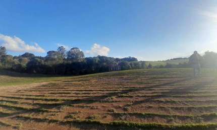Área à venda, 59660 m² por R$ 150,00 - Veneza - Fazenda Rio Grande/PR