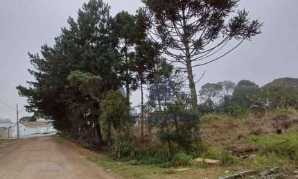 Terreno à venda, 732 m² por R$ 450.000,00 - Guatupê - São José dos Pinhais/PR
