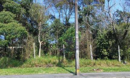 Terreno à venda, 600 m² por R$ 348.000,00 - Cristal - São José dos Pinhais/PR