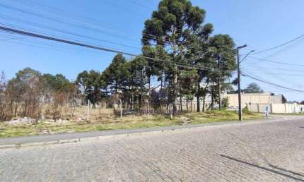 Terreno à venda, 1038 m² por R$ 602.000,00 - Cristal - São José dos Pinhais/PR