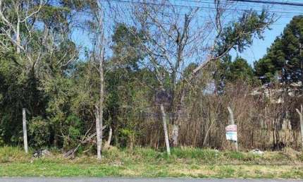 Terreno à venda, 600 m² por R$ 348.000,00 - Guatupê - São José dos Pinhais/PR