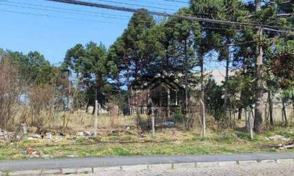 Terreno à venda, 1038 m² por R$ 602.000,00 - Cristal - São José dos Pinhais/PR