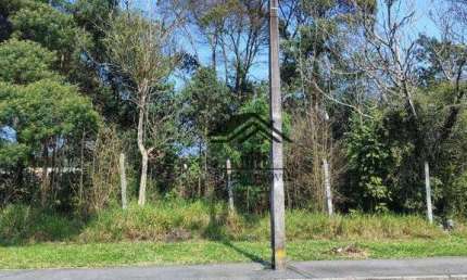Terreno à venda, 600 m² por R$ 348.000 - Cristal - São José dos Pinhais/PR