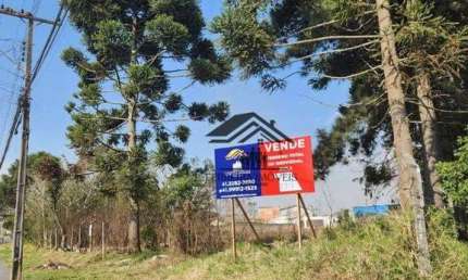 Terreno à venda, 2972 m² por R$ 1.748.000 - Cristal - São José dos Pinhais/PR