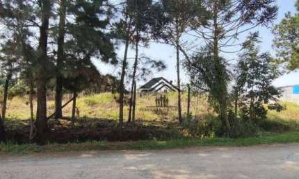Terreno à venda, 734 m² por R$ 450.000 - Cristal - São José dos Pinhais/PR