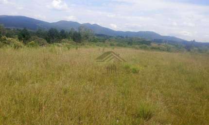 Área à venda, 20000 m² por R$ 450.000 - Contenda - São José dos Pinhais/Paraná