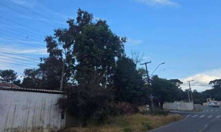 Terreno à venda, 360 m² por R$ 276.000,00 - Iguaçu - Fazenda Rio Grande/PR