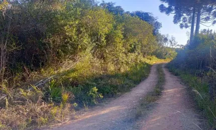 Área à venda, 16086 m² por r$ 170.000 - areia branca dos assis - mandirituba/paraná