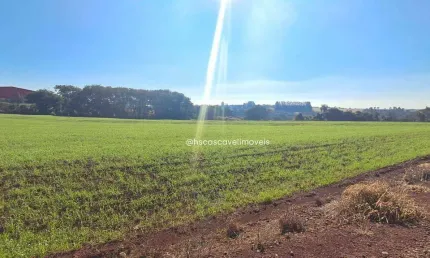 Área Industrial com 28.500 m²  Acesso Direto pela BR-277