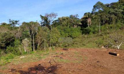 Terreno à venda com 50 hectares por R$ 580.000 - Bracinho - Apiúna/SC