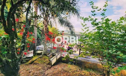 Casa com 5 dormitórios à venda, 326 m² por R$ 730.000,00 - Progresso - Blumenau/SC