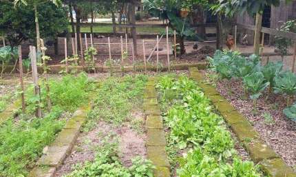 Mini Sítio com Casa com 1 dormitório à venda, 72 m² por R$ 265.000 - Parque Itacolomi - Gravataí/RS