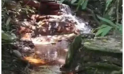 Terreno para Venda em Cocalzinho de Goiás, Zona Rural, 9 dormitórios, 3 suítes, 3 banheiros, 30 vagas